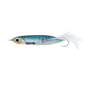 Sardine