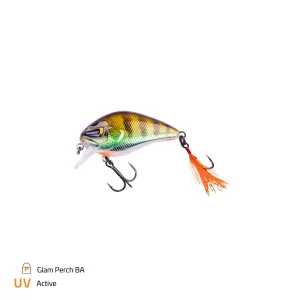 Glam Perch BA