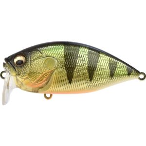 GG Perch