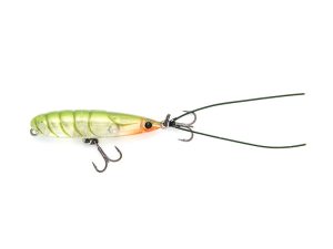 389 Green Ghost Shrimp