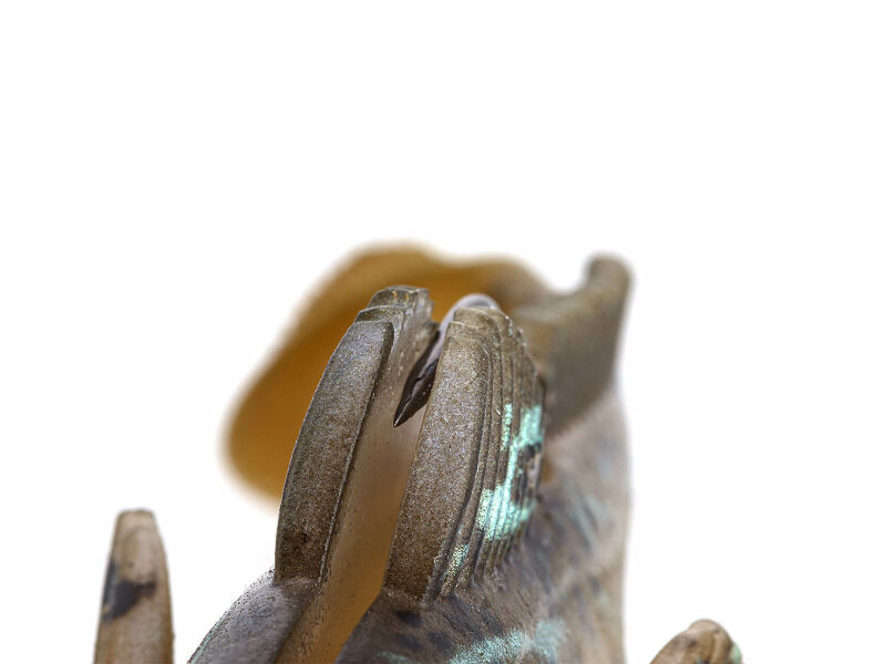 ZMan Gobius 3" 10.5g – Bild 5