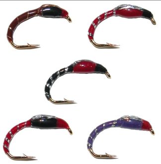 Jäggi Hegene RS H19