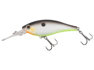 422 Decatur Shad