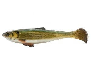 Golden Shiner