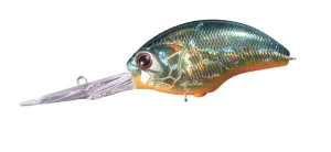 H03 American Sunfish