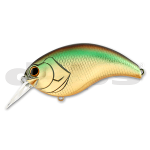 06 Golden Shiner