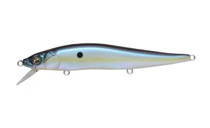 Sexy Shad