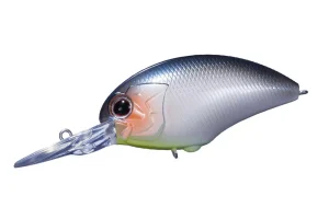 F30 Bluefish