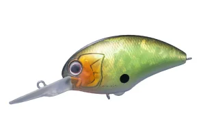 H32 Green Scale