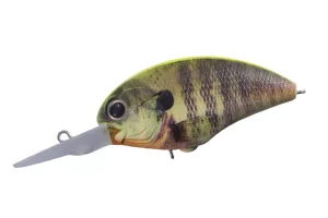 RP07 Matte Chart back Real Gill