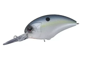 L21 Sexy Shad