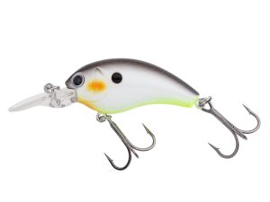 422 Decatur Shad