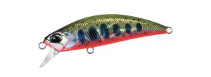 Yamame Red Belly