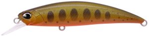 Arctic Char II