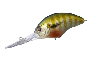 GH45 Green Gill