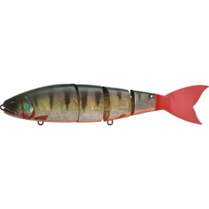 Red Fin Perch