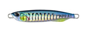 Sardine