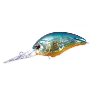 H03 American Sunfish