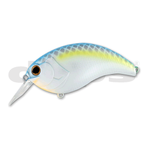 07 Sexy Shad