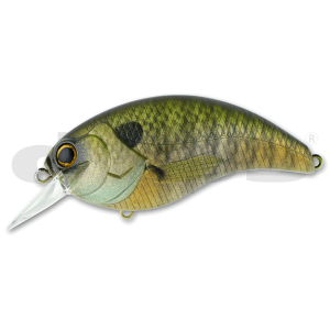 04 Sukamu Perch