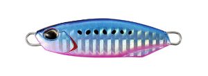 Blue Pink Sardine