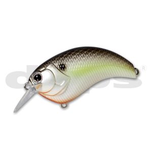 18 Black Back Shad