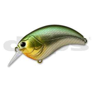 Deps Evoke 2.0