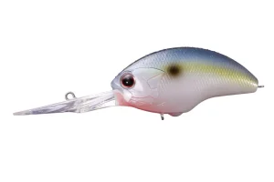 L21 Sexy Shad