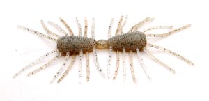 83 Smoke Shrimp