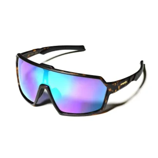 Big Fish Polarisationsbrille Virtual