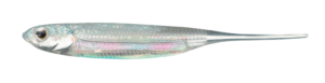 Fish Arrow Flash-J 2"
