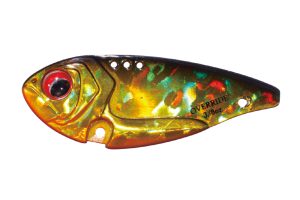 OR4 Black Gold Orange Belly