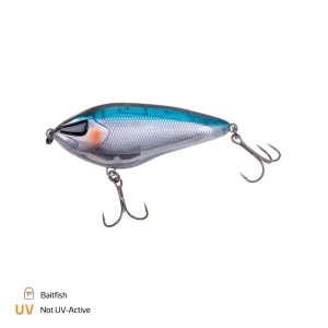 Baitfish