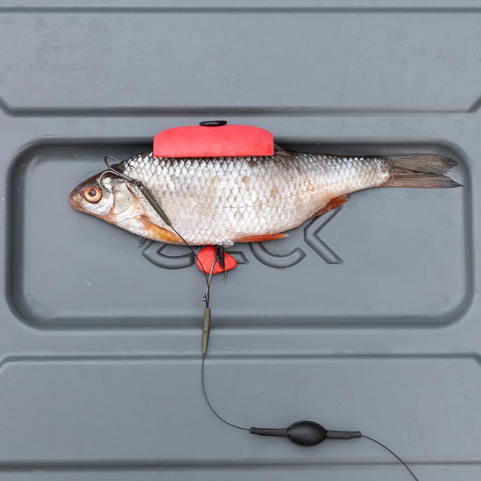 Zeck Single Hook & Treble Rig – Bild 5