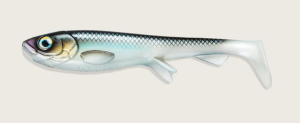 C028 Strömming