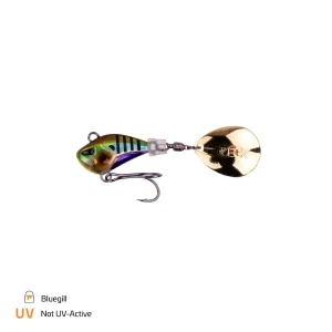 Bluegill