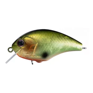 H32 Ryoku Rin