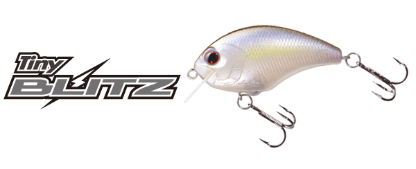 O.S.P. Tiny Blitz