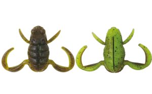 E019 Green Pumpkin Chart